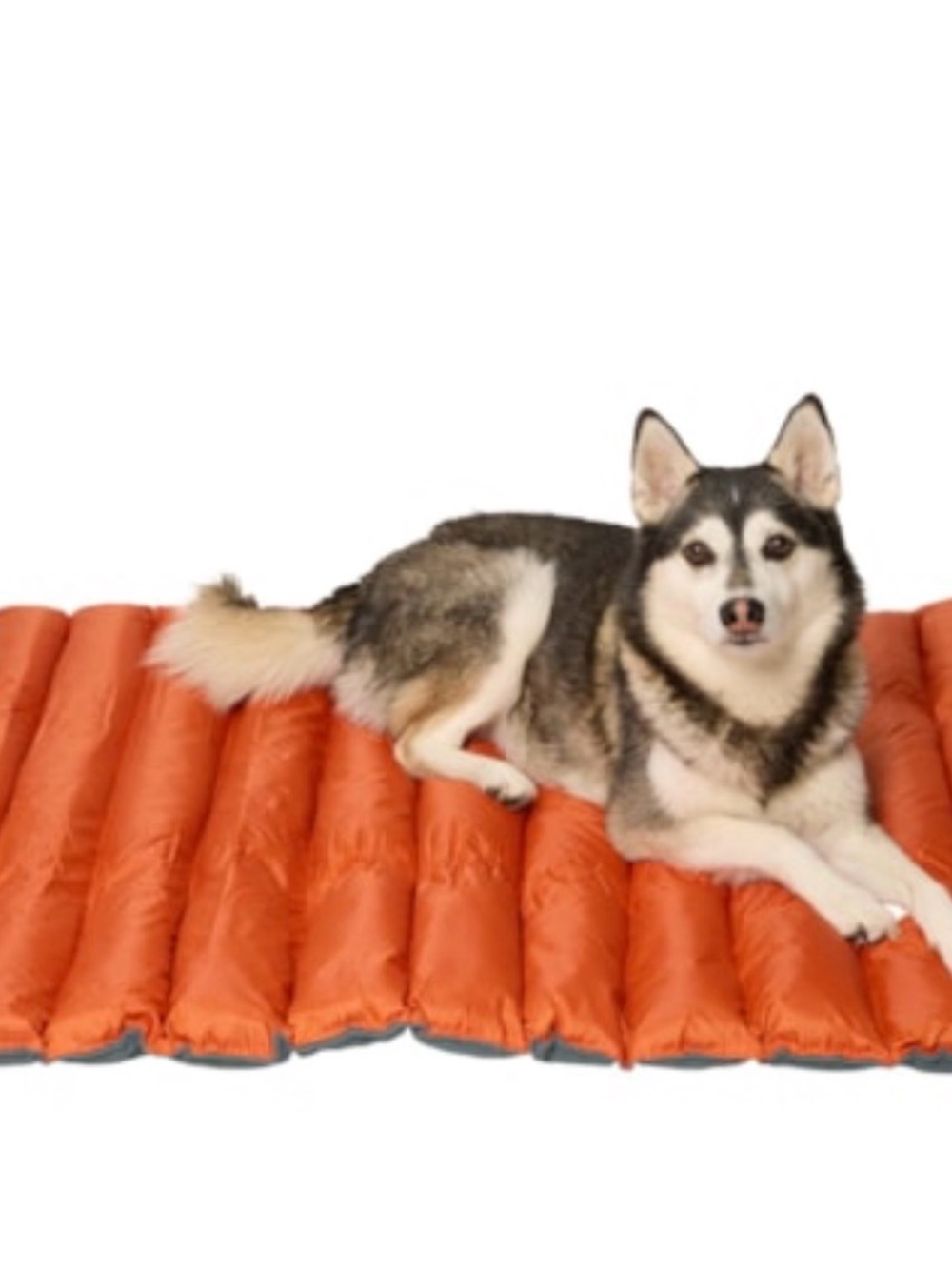 Cozy Orange Padded Dog Mat - Portable Pet Sleeping Pad - Picture 1 of 1